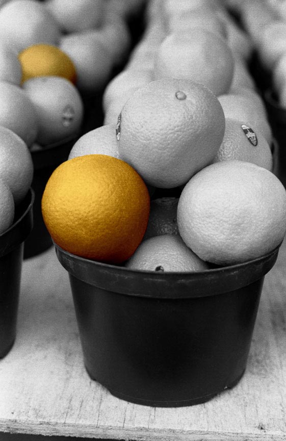 ¿Cómo vender un producto naranja?
