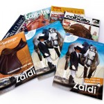 Revistas y catálogos de productos. Plan de comunicación Zaldi