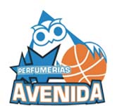Diseñamos la Web oficial del equipo de baloncesto Avenida