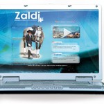 Diseño y programación página web. Plan de comunicación Zaldi